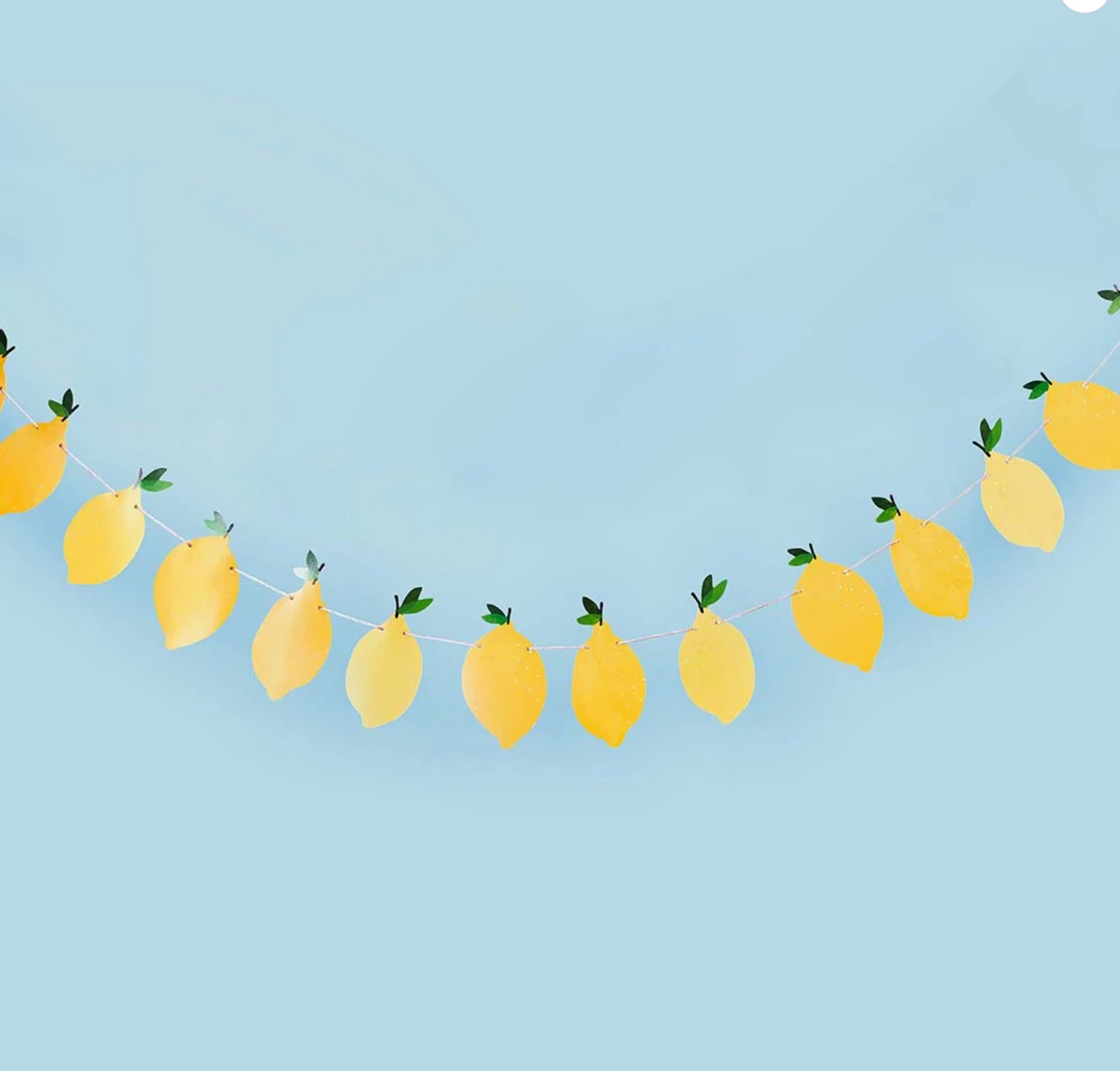 Guirlande de citrons - 2,5m