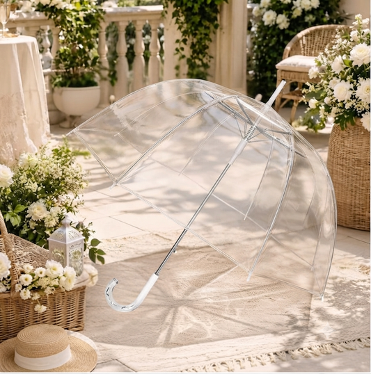 Parapluie transparent