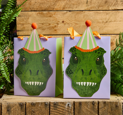 Sacs de fête dinosaures (Lot de 5)