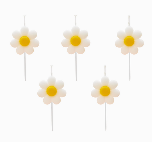 Bougie Marguerite - Lot de 5