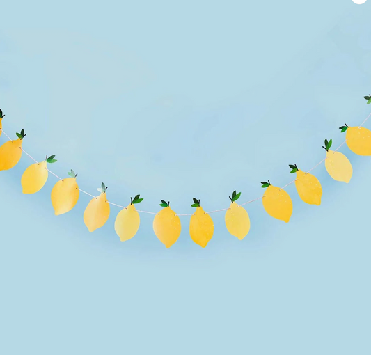 Guirlande de citrons - 2,5m