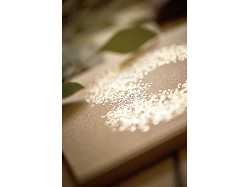 Livre d'or, 20.5 x 20.5cm, 22 feuilles