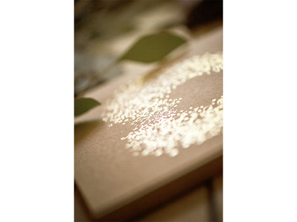 Livre d'or, 20.5 x 20.5cm, 22 feuilles